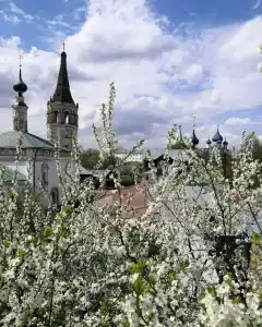 Сирин дом - 3