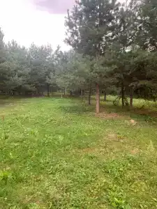 Круиз Вилладж - 83