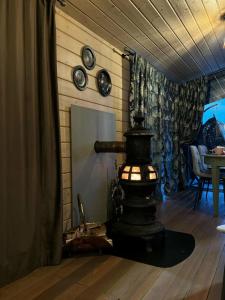 Карельские Лага - 48