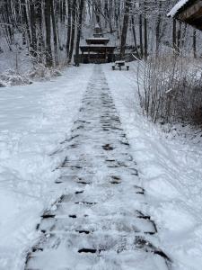 Империя - 24
