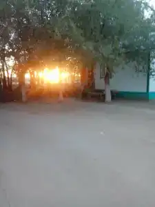Золотой плав - 44
