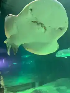 Erboy Istanbul Sirkeci - 52