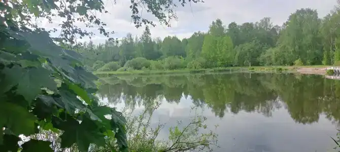 Зеленый Городок - 41