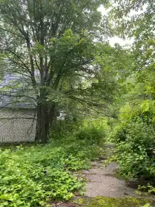 Дорожник - 12