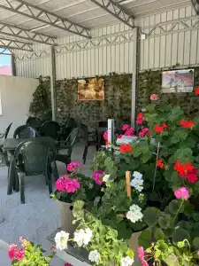 Oasis Eco-House - 12