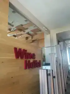 Wine Chisinau - 8