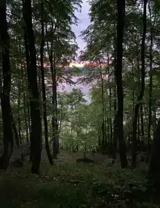 Дом - 11
