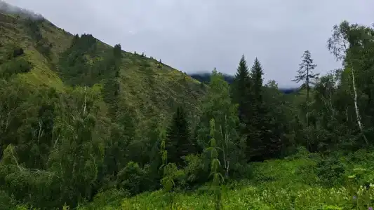 У дачи - 27