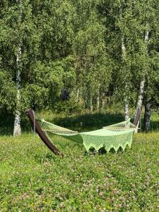 Усадьба Долгорукий - 54