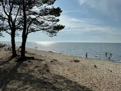 Байкальская Солянка - 18