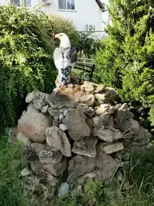 Павловская усадьба - 50