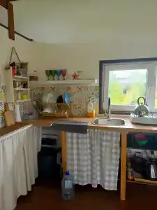 Смородина - 78