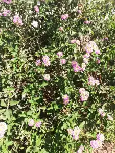 İstanbul Beach - 64