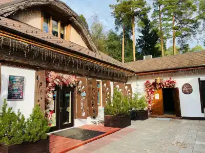 Гуси-Лебеди - 34