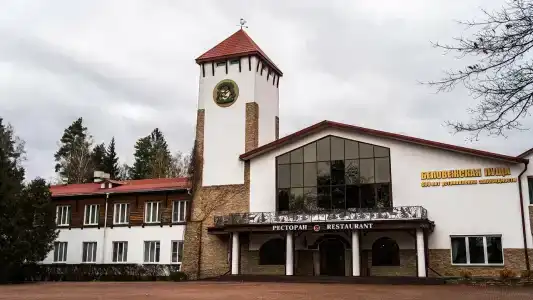 Каменюки - 1