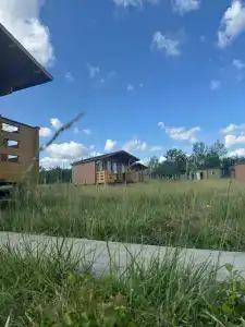Дрозды - 6