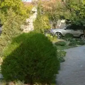 Гармония - 6