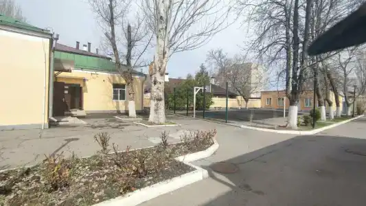 Березка - 0