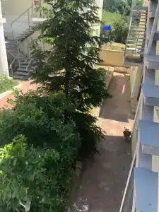 1000 Звёзд #2 - 24