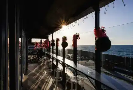 Гранд Палас - 87