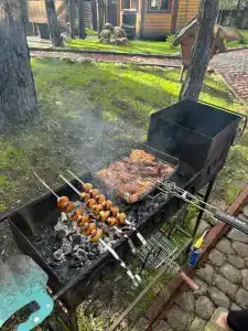 Магия леса - 5