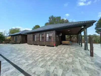 Дикий аист - 33