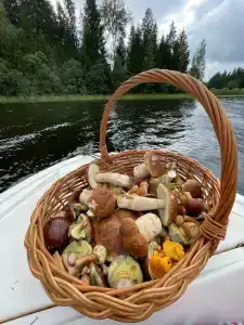 Дом рыбака Заречье 33 - 35