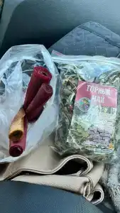 Четыре сезона - 33