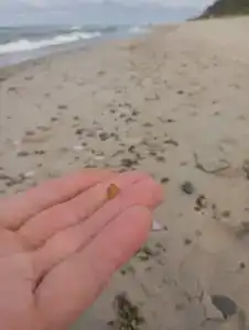 Гостевой дом Элиза Заркау - 97