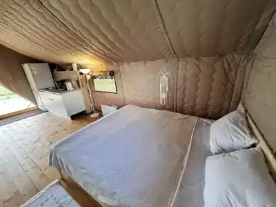 Птички - 22