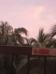 Sheraton Sanya Yalong Bay Resort - 83