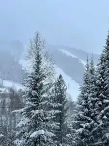 Замок Эдельвейс - 61