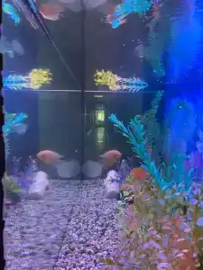 Neo Room - 2