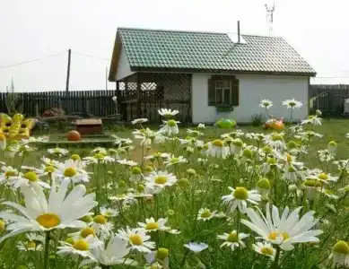 Хуторок - 1