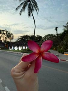 Hilton Garden Inn Phuket Bang Tao - Sha Extra Plus - 46
