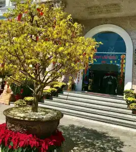 Orbit Resort & Spa - 32