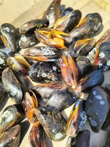 Место Встречи - 7