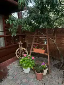 Сосновый Двор - 18