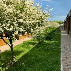 Солнечный Остров - 46