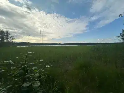 Колокольцево - 28