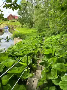 Веретьево - 35