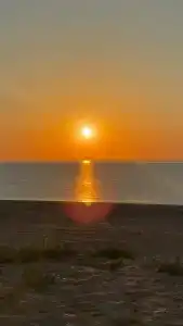 Электра Холидей - 25