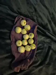 Юрта-парк на острове - 63