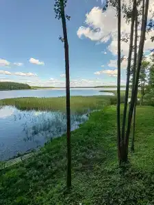 Мядель - 44