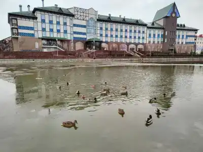 Югорский - 44