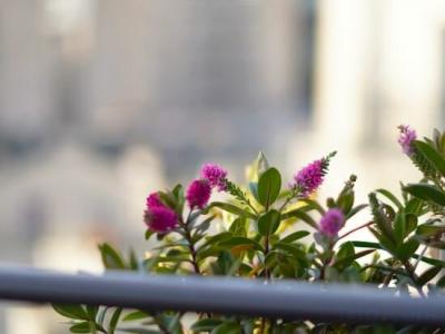 Best Western Le Montmartre – Saint Pierre - 19
