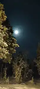 ЛеСъ - 28