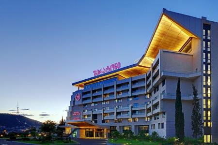 Sheraton Grand Tbilisi Metechi Palace - 55