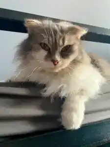 Звездный - 0