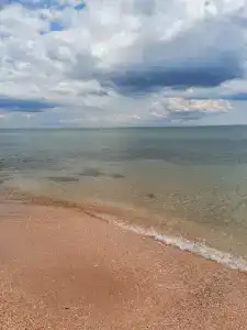 Жемчужный - 68